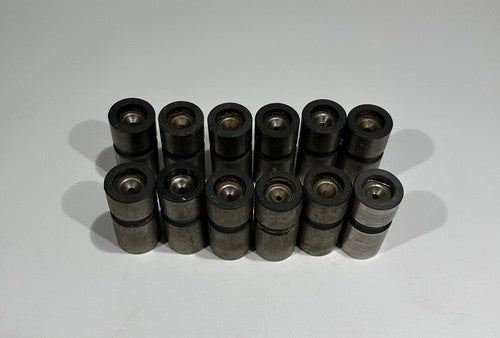 P/N: 628488 Continental Lifters - Set of 12