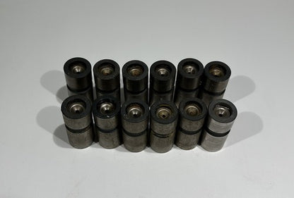 P/N: 628488 Continental Lifters - Set of 12